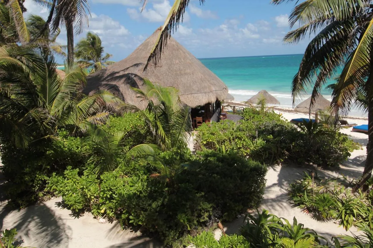 Sol Caribe Hotel Punta Allen 2*,