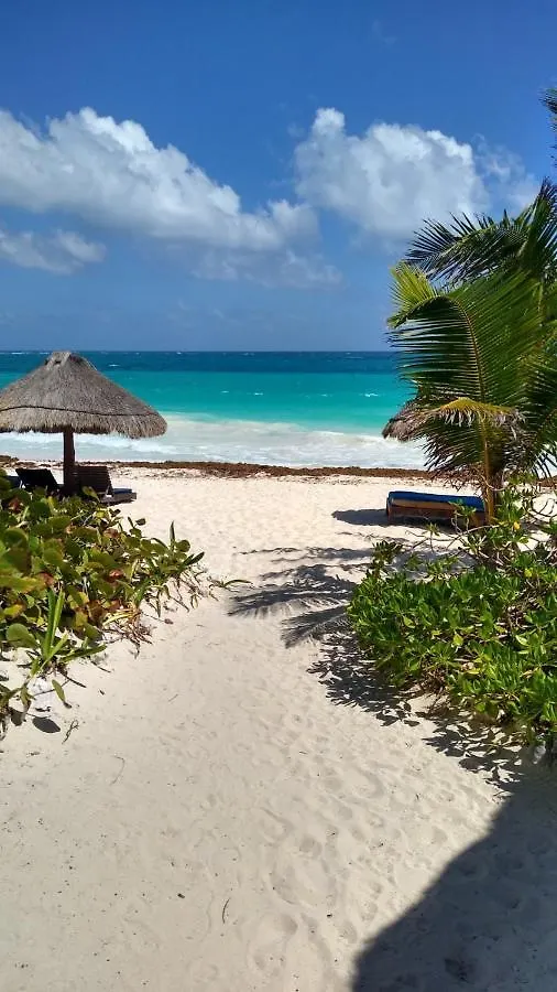 **  Sol Caribe Hotel Punta Allen Mexico