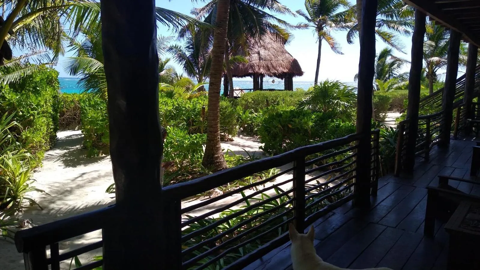Sol Caribe Hotel Punta Allen