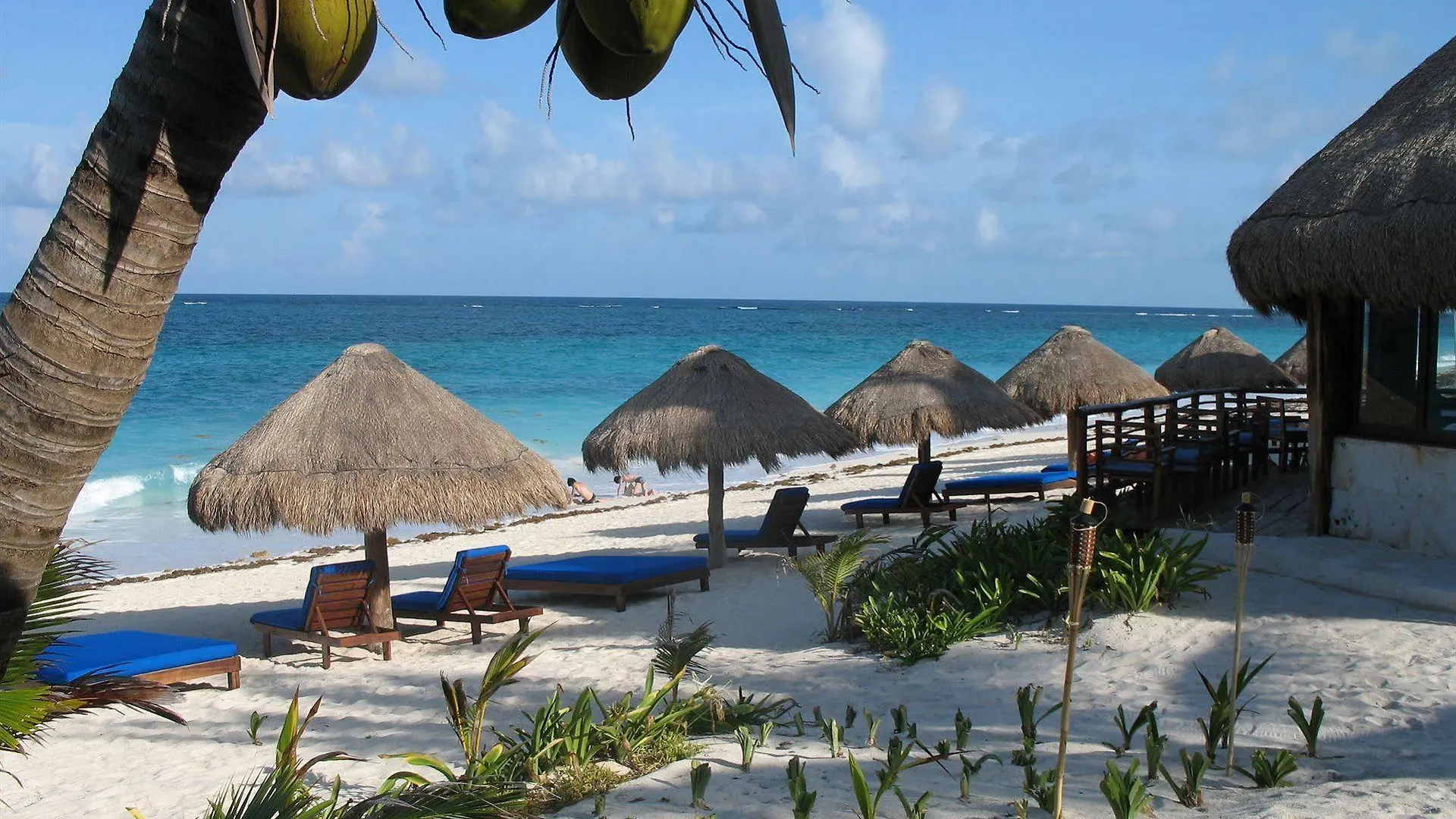 Sol Caribe Hotel Punta Allen