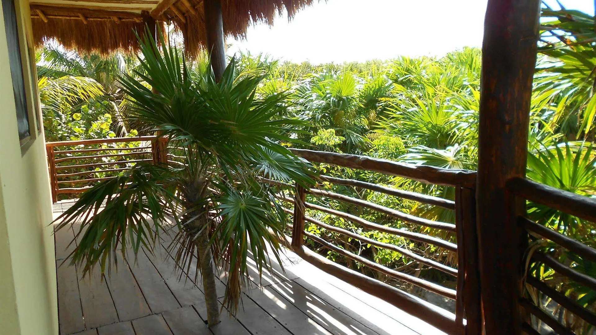 Sol Caribe Hotel Punta Allen