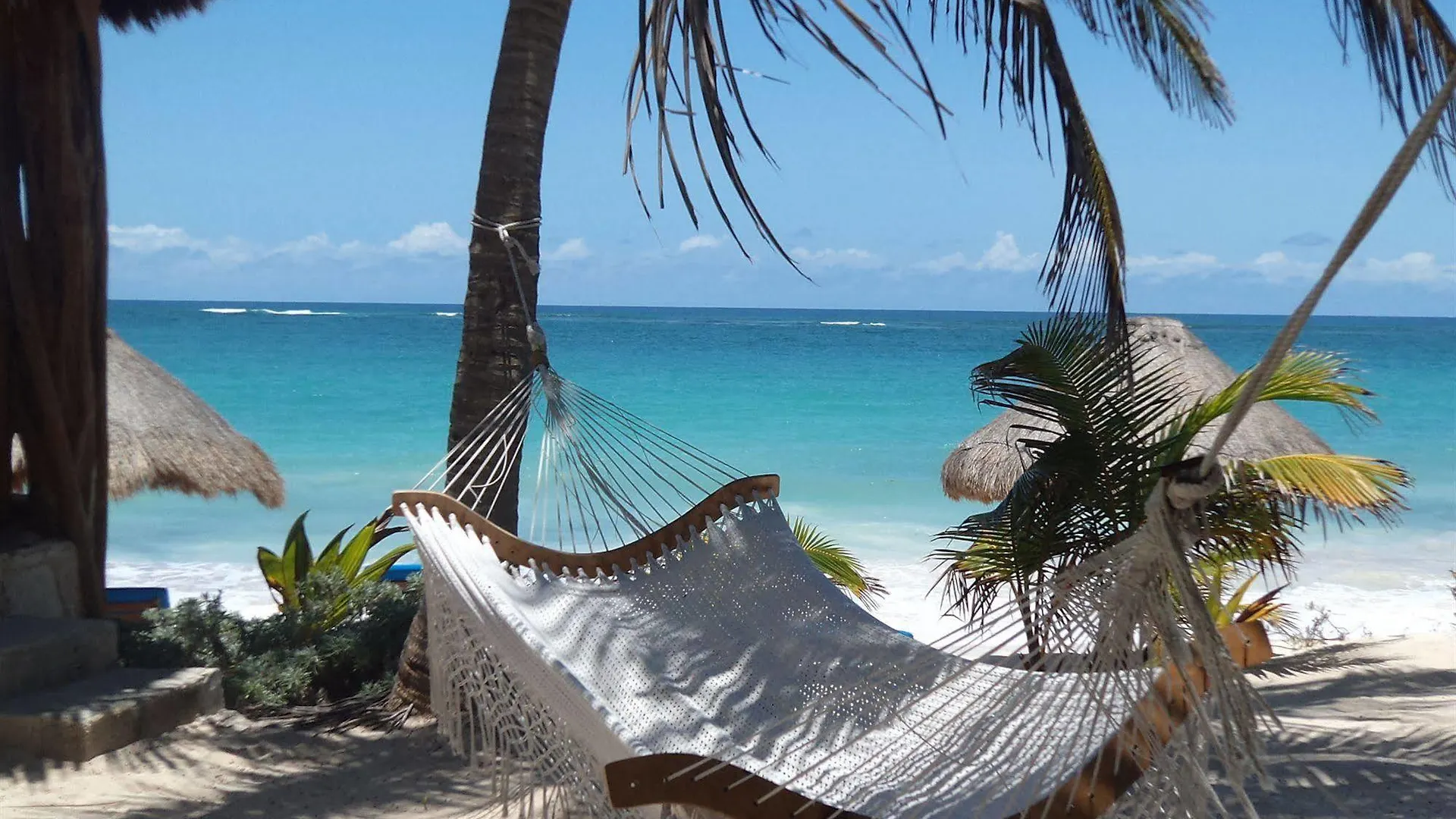**  Sol Caribe Hotel Punta Allen Mexico